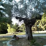 Apartment Skiourakia Metamorfosi (Sithonia)