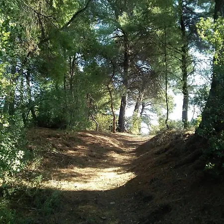 Apartmán Skiourakia