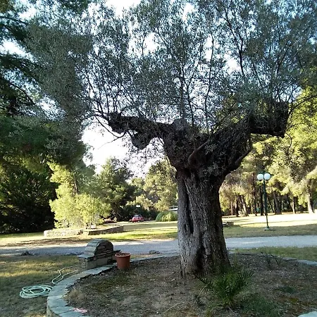 Apartmán Skiourakia Metamorfosi (Sithonia)