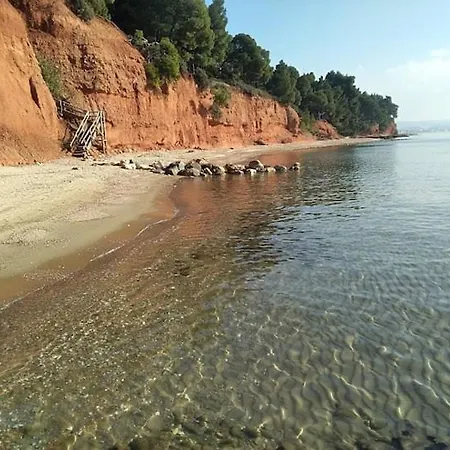 Skiourakia מטהמורפוסי