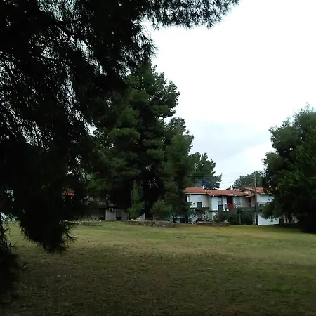 Skiourakia מטהמורפוסי