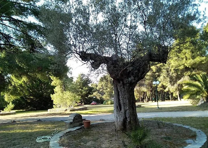 Apartamento Skiourakia Metamorfosi (Sithonia)