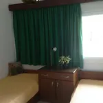 Appartement Skiourakia Metamorfosi (Sithonia)